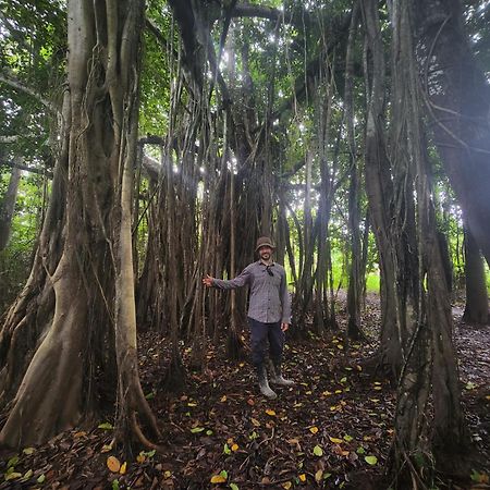 Hospedaje Y Tours Reina Arriera Amazonas Colombia Macedonia Zewnętrze zdjęcie