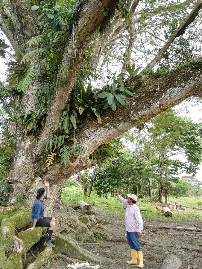 Hospedaje Y Tours Reina Arriera Amazonas Colombia Macedonia Zewnętrze zdjęcie